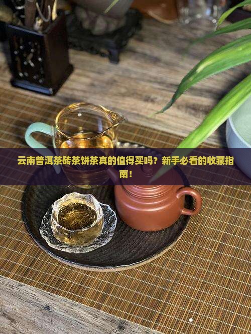 云南普洱茶砖茶饼茶
