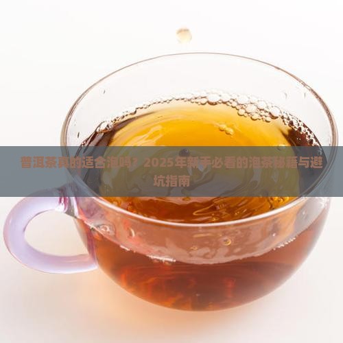 普洱茶适合泡吗