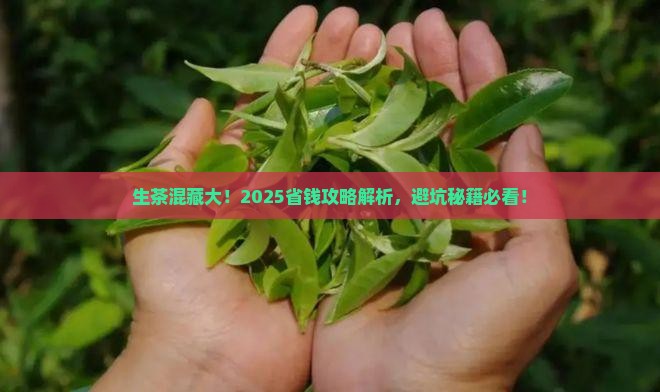 生茶与生茶能不能混合购买藏