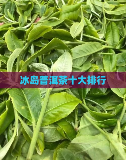 冰岛普洱茶知名品牌排行