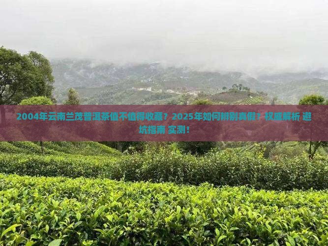 2004年云南兰茂普洱茶