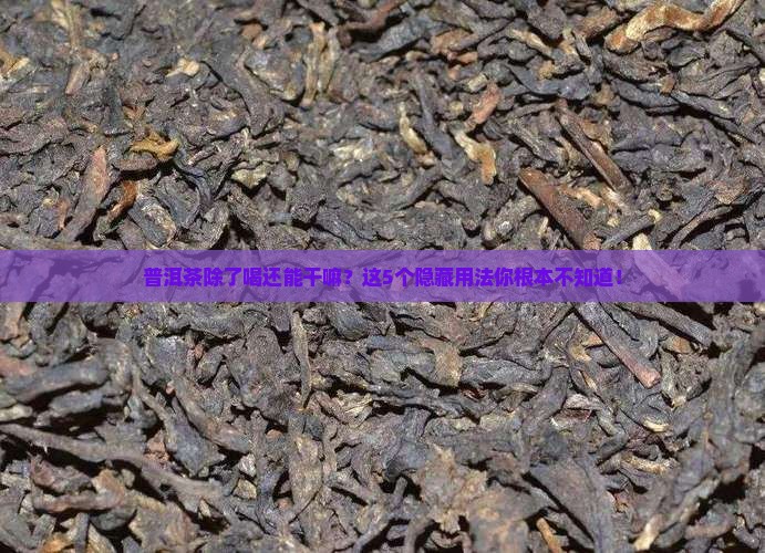 普洱茶除了喝还可以干嘛