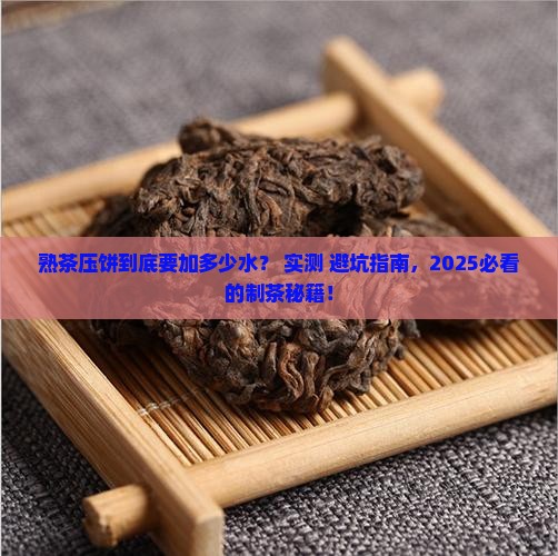 熟茶压饼些加多少水