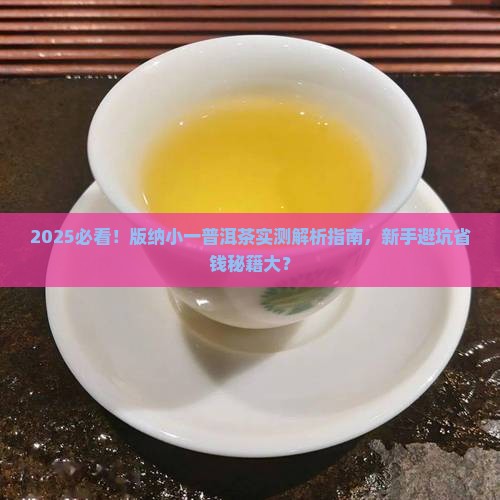 版纳小一普洱茶