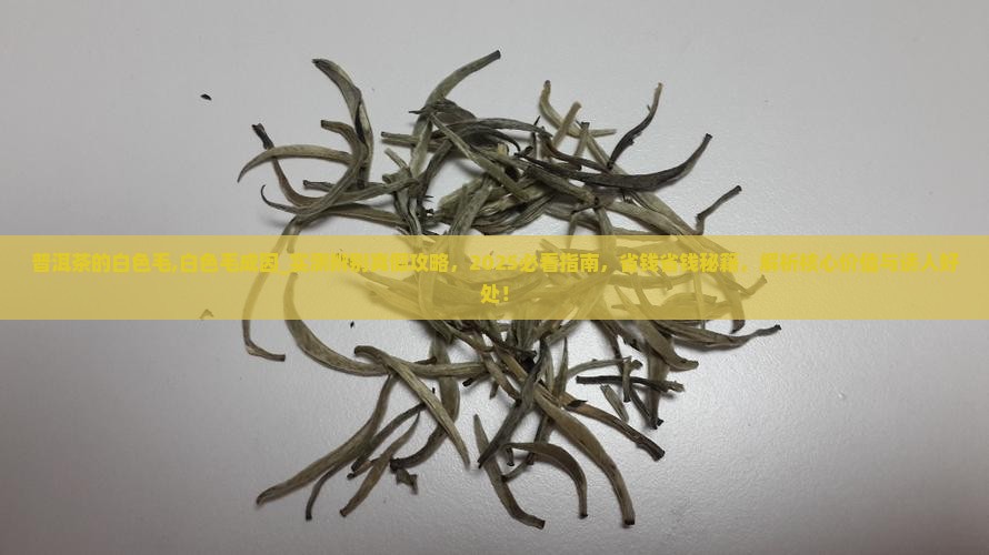 普洱茶的白色毛
