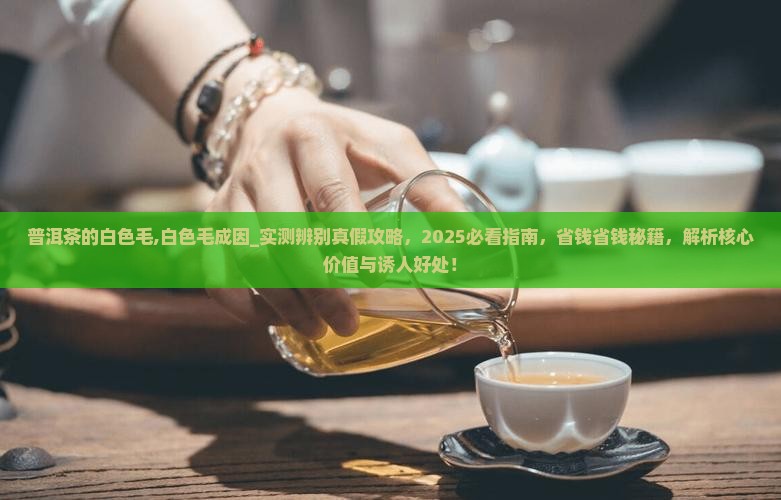 普洱茶的白色毛
