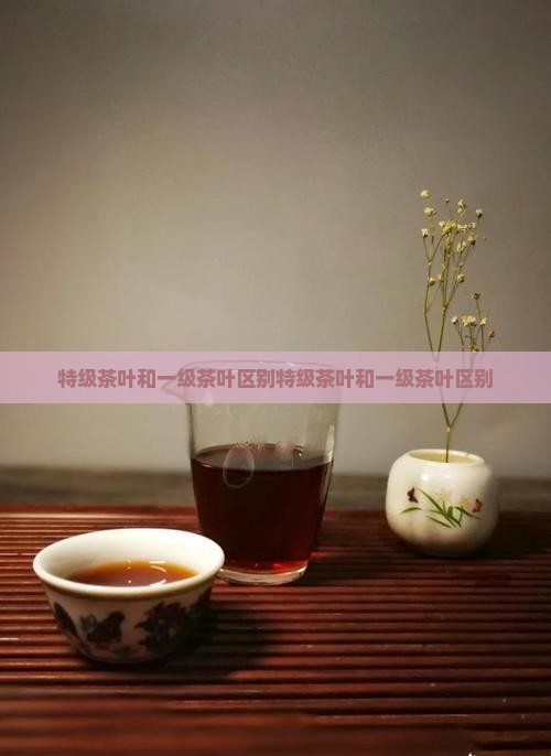 特级茶叶和一级茶叶区别