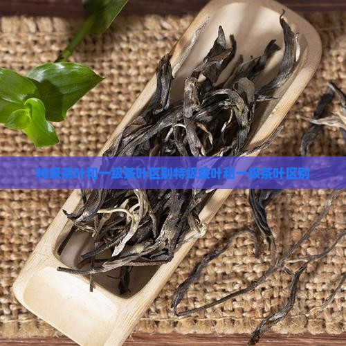特级茶叶和一级茶叶区别