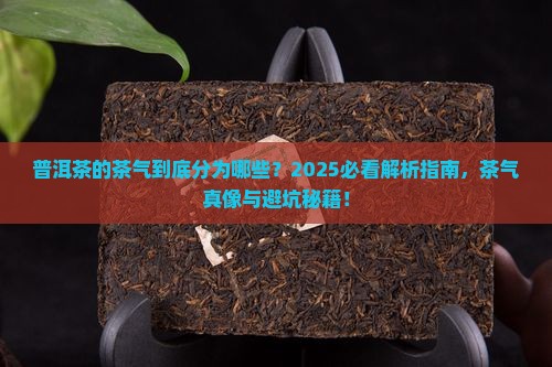 普洱茶的茶气分为哪些