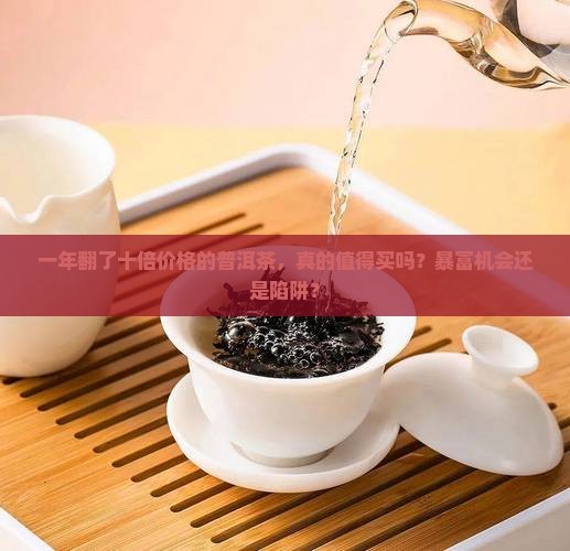一年翻了十倍价格的普洱茶