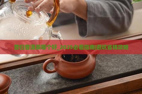 昔归普洱茶品牌哪个好