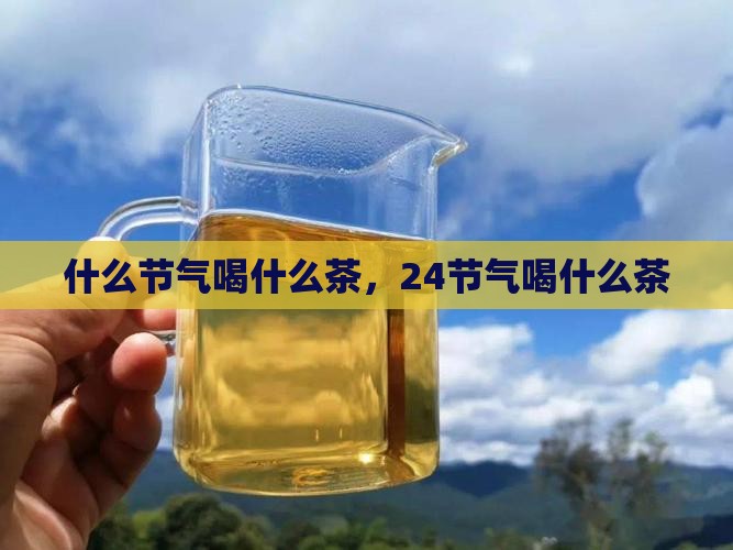 什么节气喝什么茶