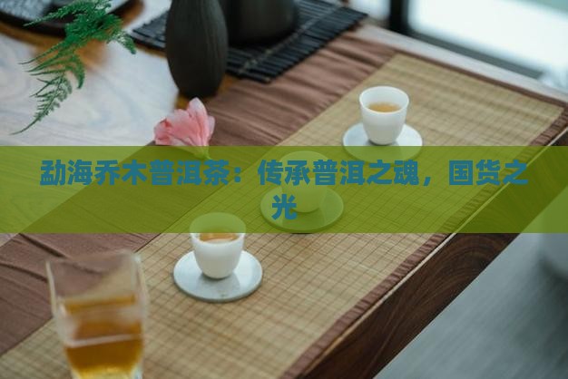 勐海乔木普洱茶国货之光