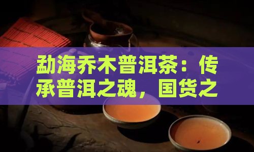 勐海乔木普洱茶国货之光