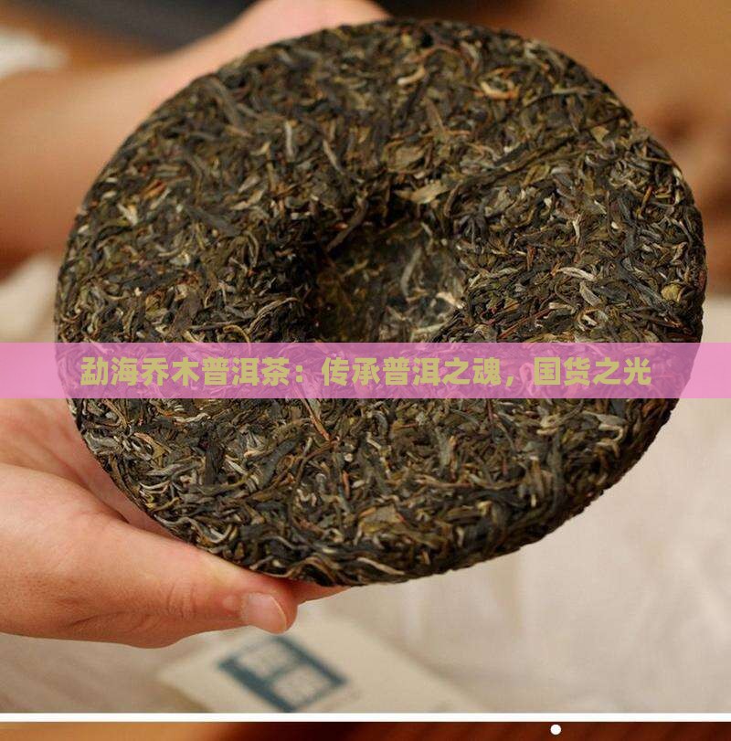勐海乔木普洱茶国货之光