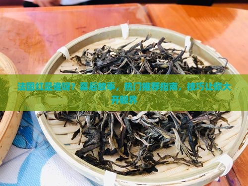 法国普洱茶网红是谁呀