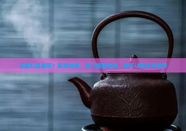 法国普洱茶网红是谁呀