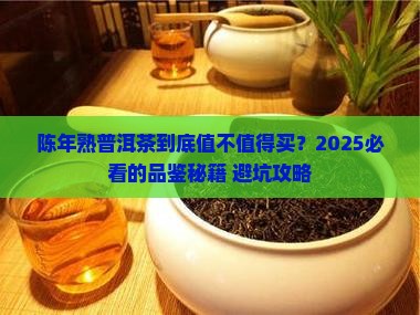 陈年熟普洱茶的描述