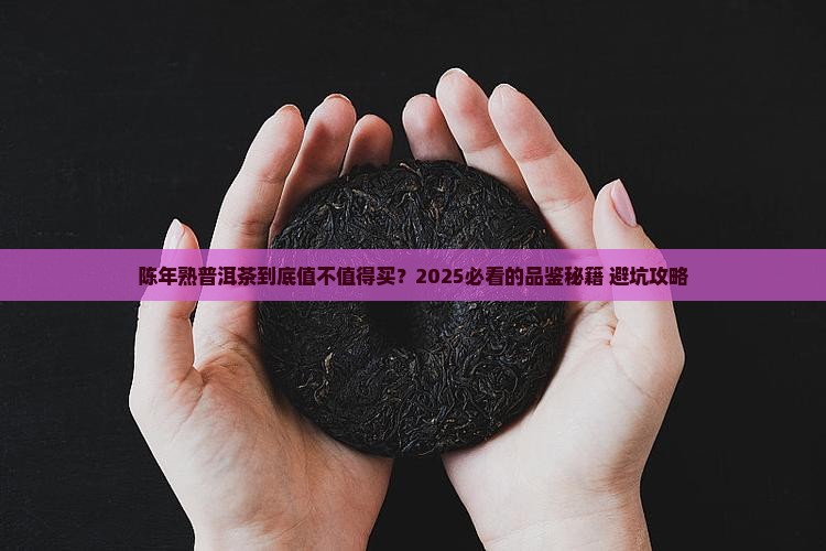 陈年熟普洱茶的描述