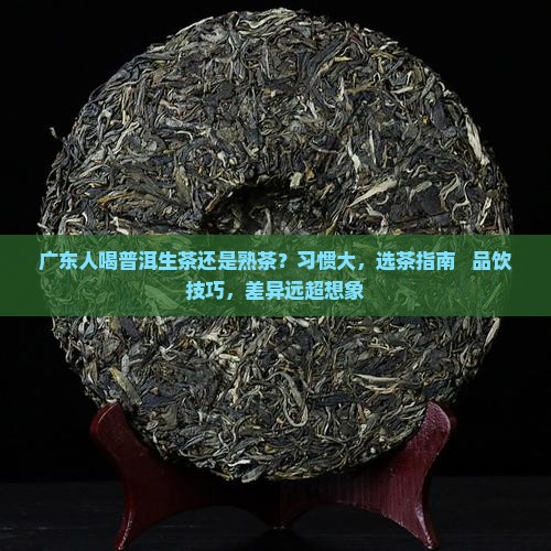 广东人喝普洱生茶还是熟茶