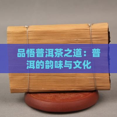 品悟观道普洱茶