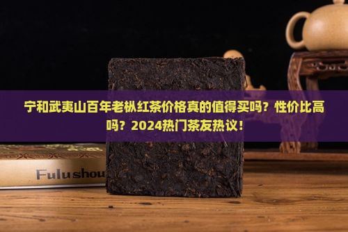 宁和武夷山百年老枞红茶价格