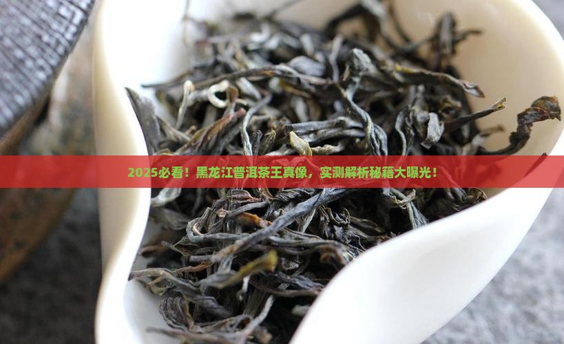 黑龙江普洱茶王是谁
