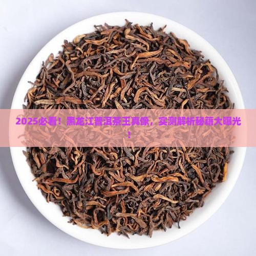 黑龙江普洱茶王是谁