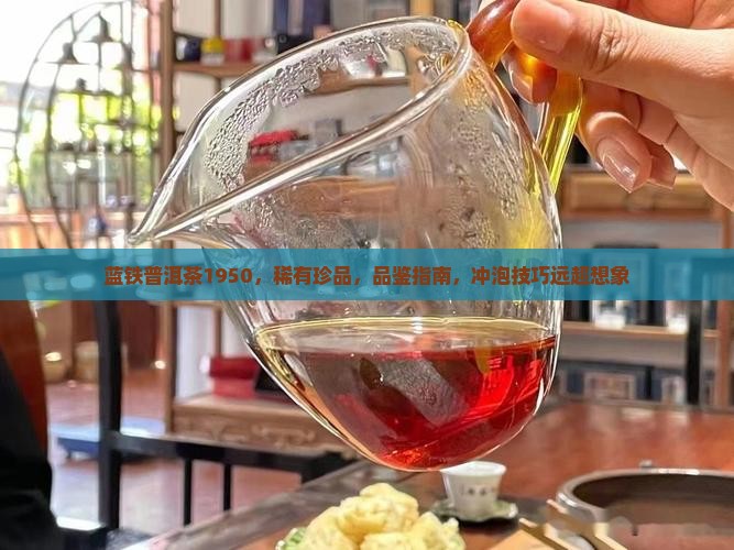蓝铁普洱茶1950