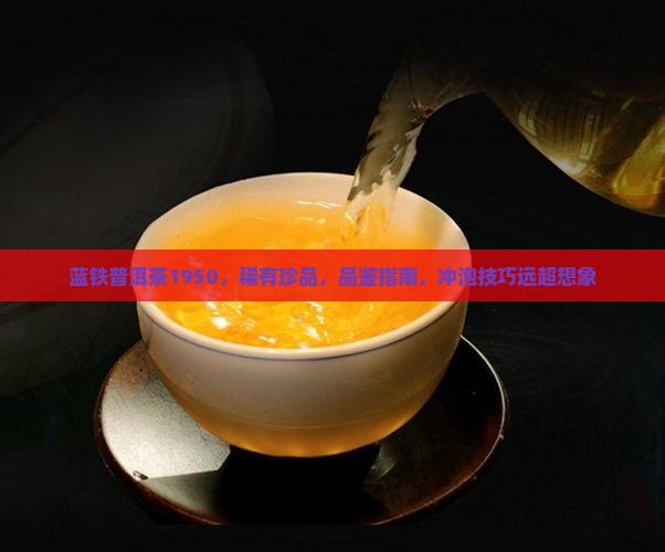 蓝铁普洱茶1950