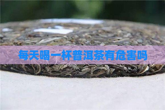 每天喝一杯普洱茶有危害吗