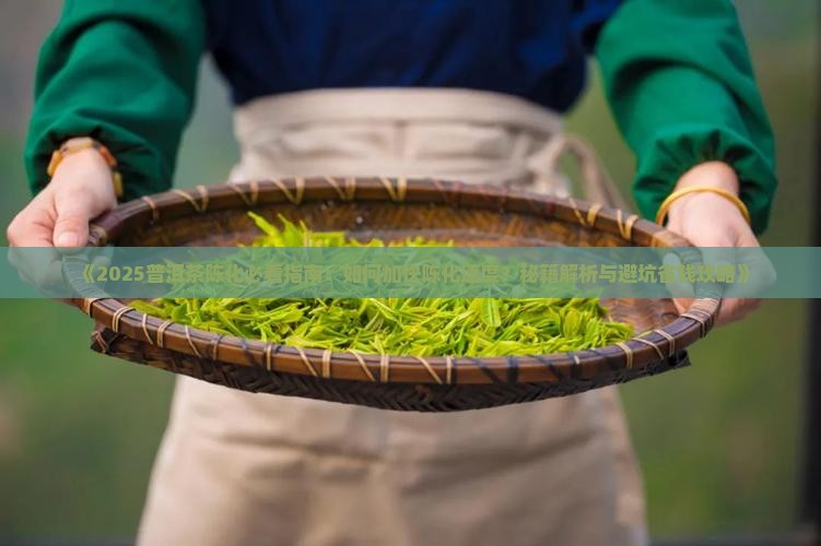 如何加快普洱茶陈化率降低