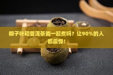 粽子叶和普洱茶能一起煮吗