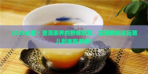 最野的普洱茶是哪种