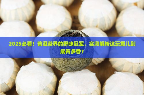 最野的普洱茶是哪种