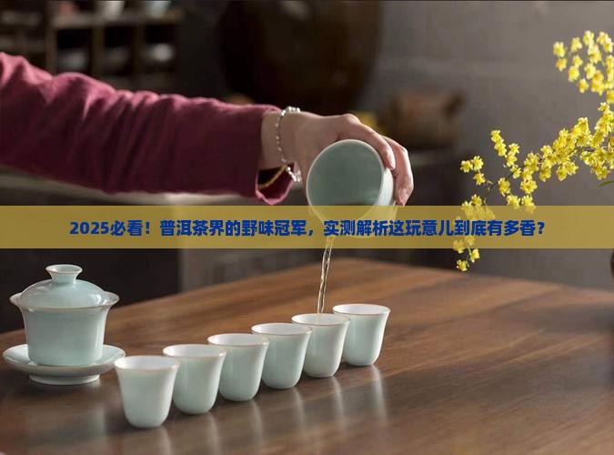 最野的普洱茶是哪种