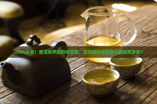 最野的普洱茶是哪种