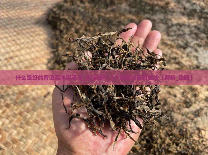 什么是好的普洱茶冲泡手法