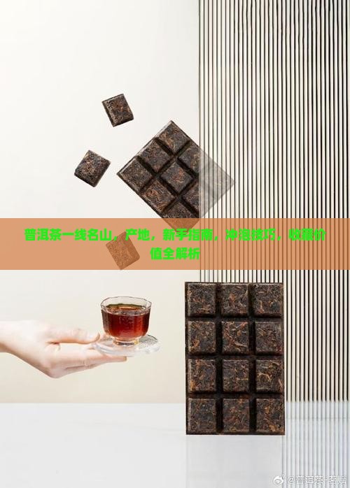 普洱茶一线名山