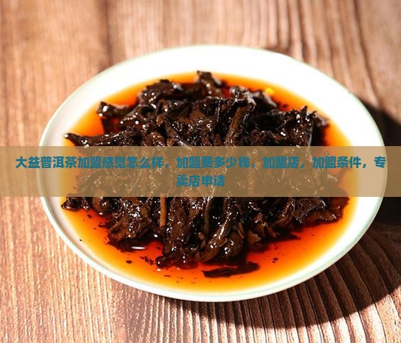 大益普洱茶加盟感觉怎么样
