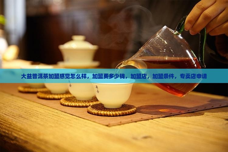 大益普洱茶加盟感觉怎么样