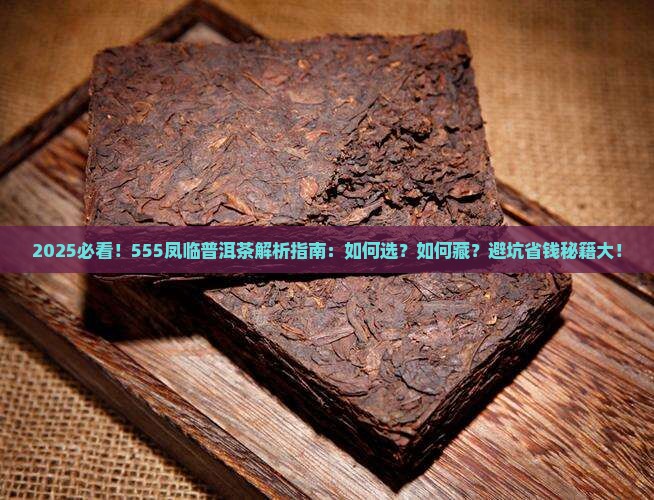 555凤临普洱茶