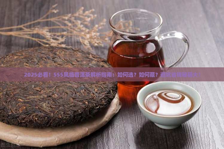 555凤临普洱茶