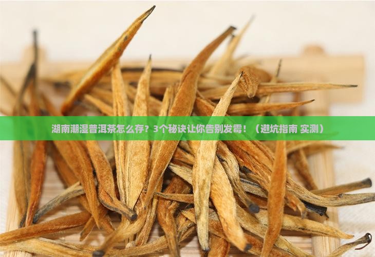 湖南潮湿普洱茶保存