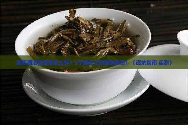 湖南潮湿普洱茶保存