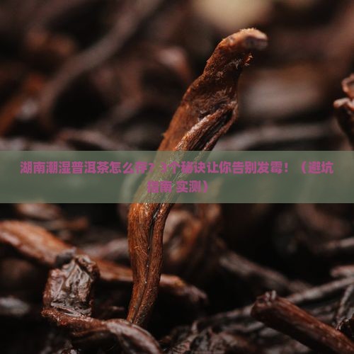 湖南潮湿普洱茶保存