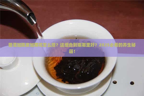 普洱加陈皮加菊花哪里好