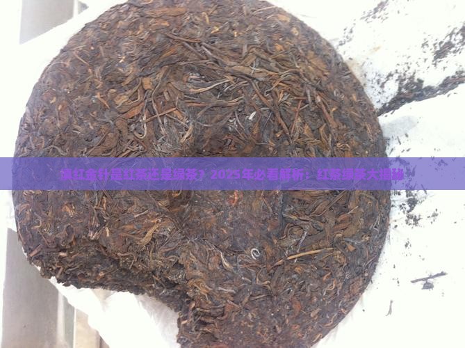 滇红金针是红茶还是绿茶
