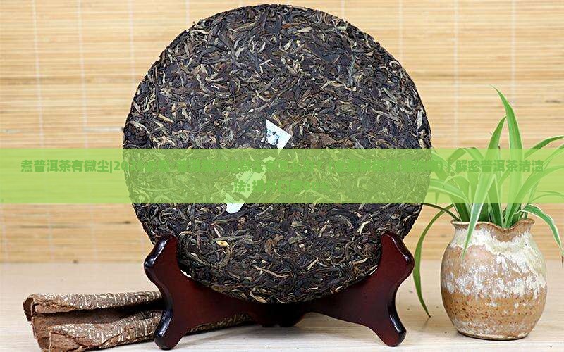 煮普洱茶有微尘