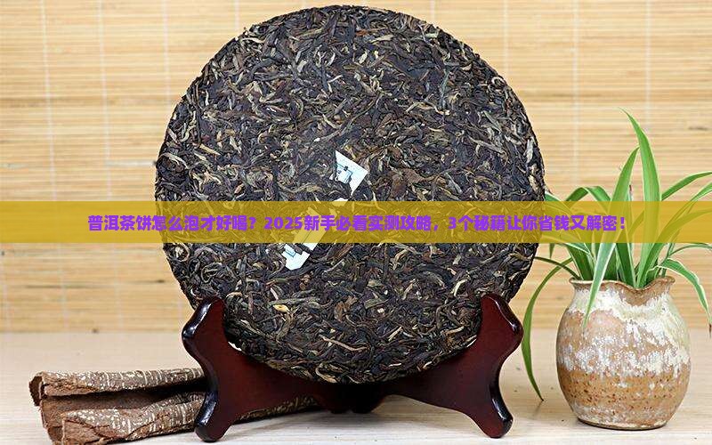 普洱茶饼怎么泡水好喝